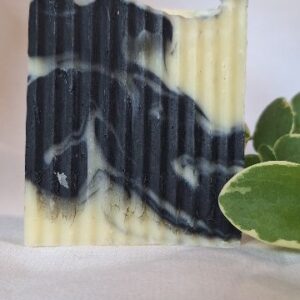 Forest Mint Charcoal Facial Bar